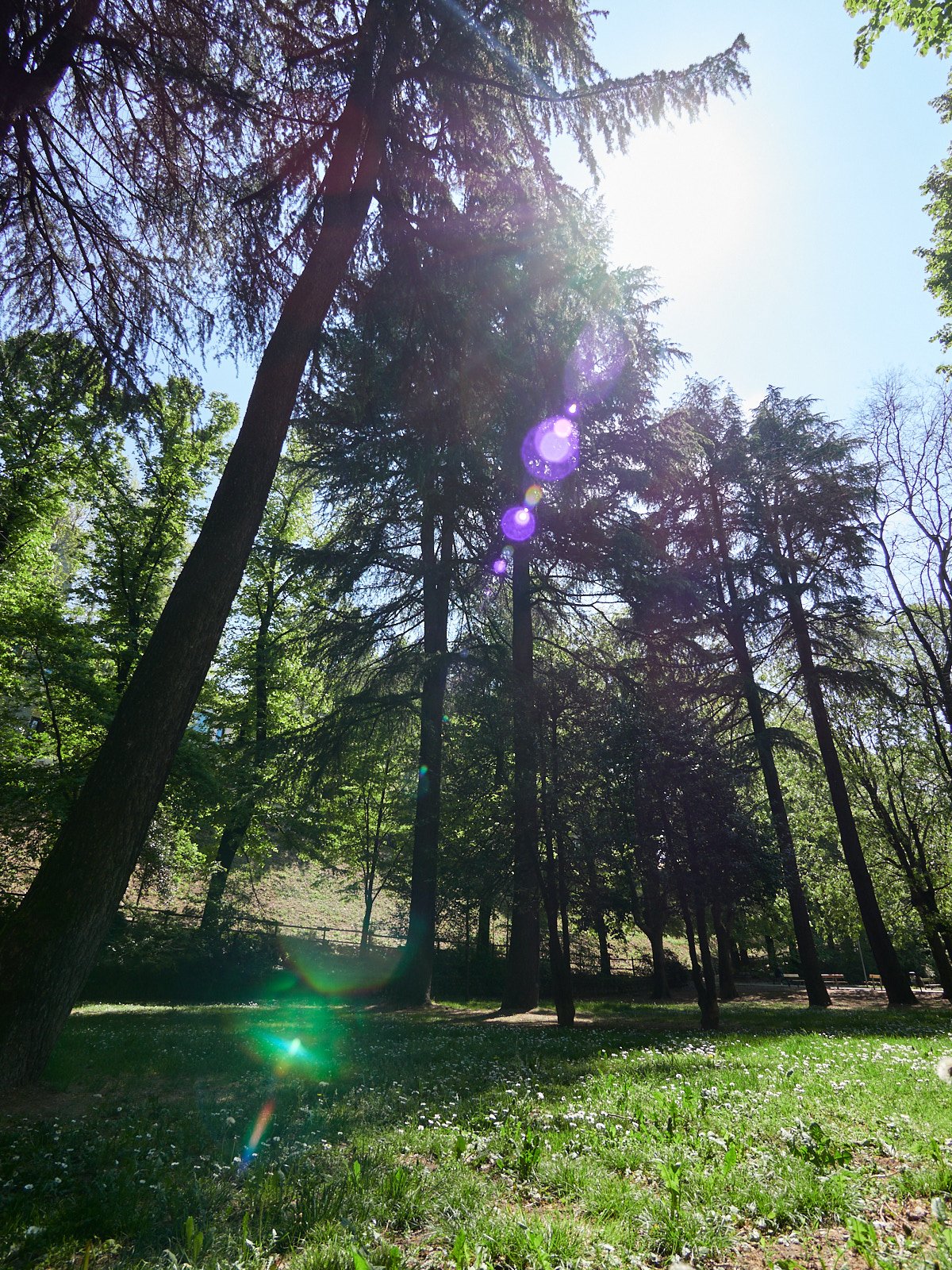Panasonic 7-14mm f5.6 9mm